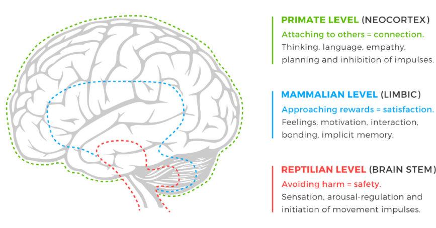 The ‘Monkey Brain’: Determine If A Prospect Will Accept You ...