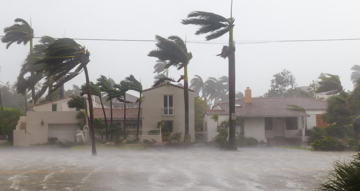 Hurricane winds batter homes.