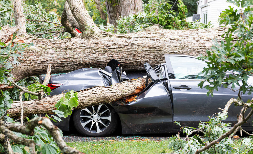 This undated file photo shows the damage storms can cause in residential areas.
