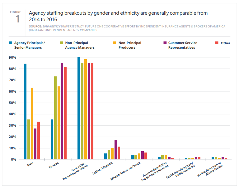 Breakdown of agencies by ethnicity and gender.