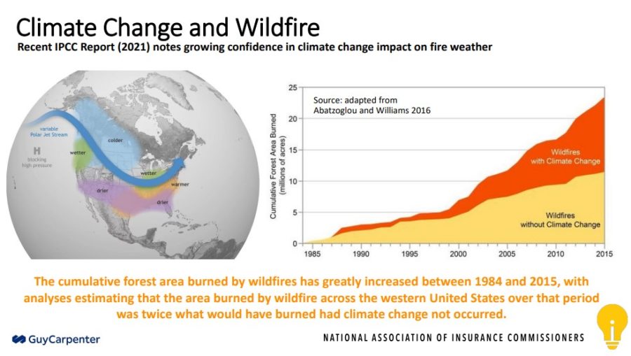 Climate change and wildfire impacts.