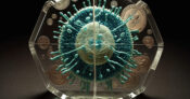 Image portraying financial planning crystalized with money and a coronavirus cell in the middle