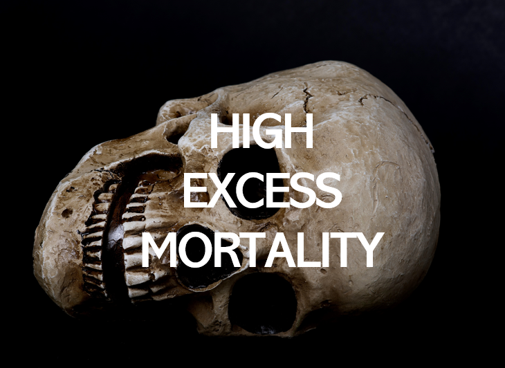 Image of the words "high excess mortality." Group forms non-profit to help study baffling excess mortality.