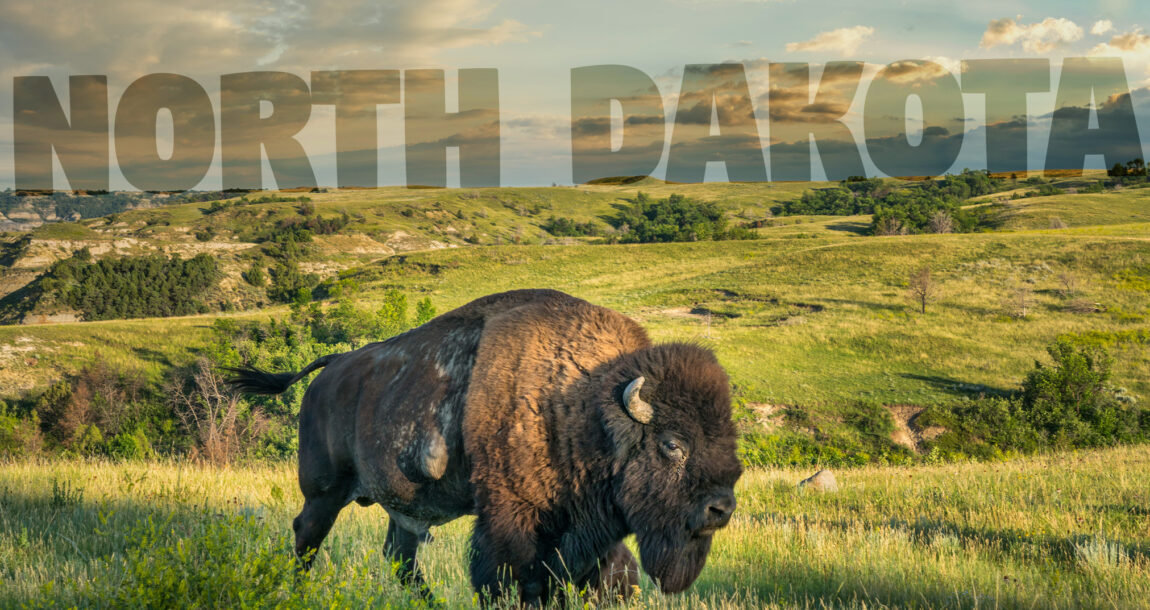 Image shows a buffalo in a field with the words North Dakota above.
