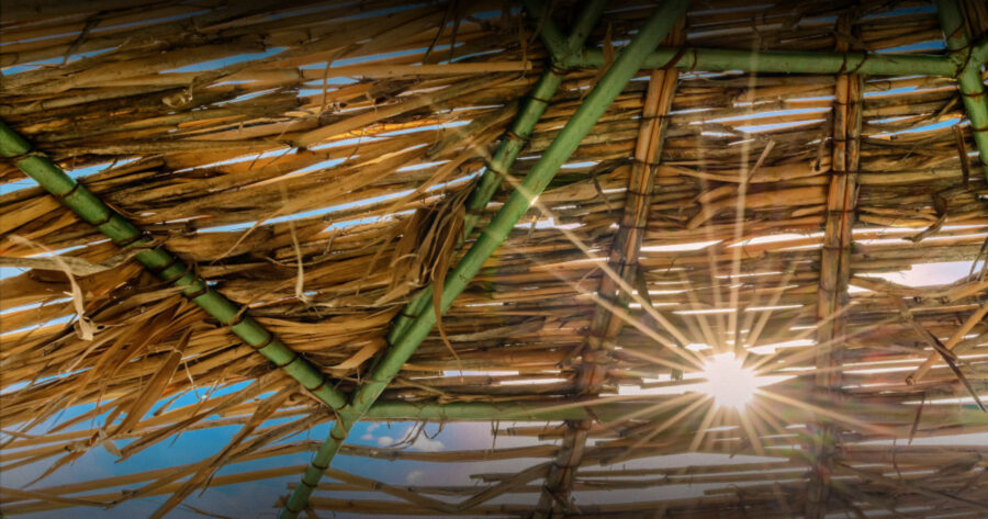 Breaking Down The Bamboo Ceiling Insurance News InsuranceNewsNet   Fpa Innm202307 900x473 