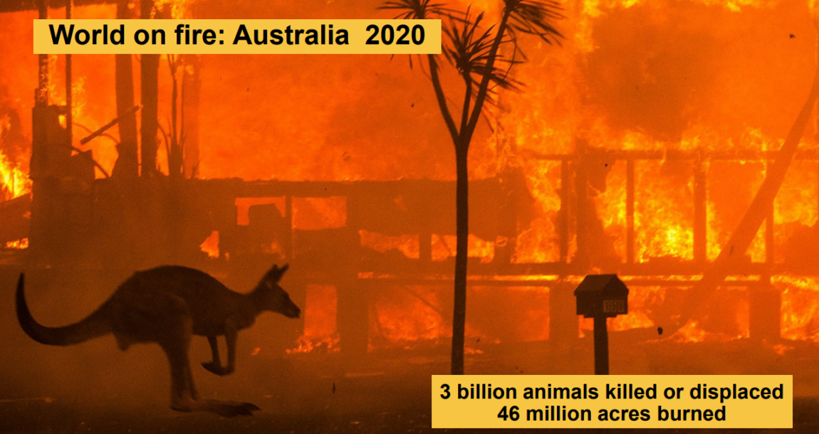 Image shows the 2020 Australian fires.