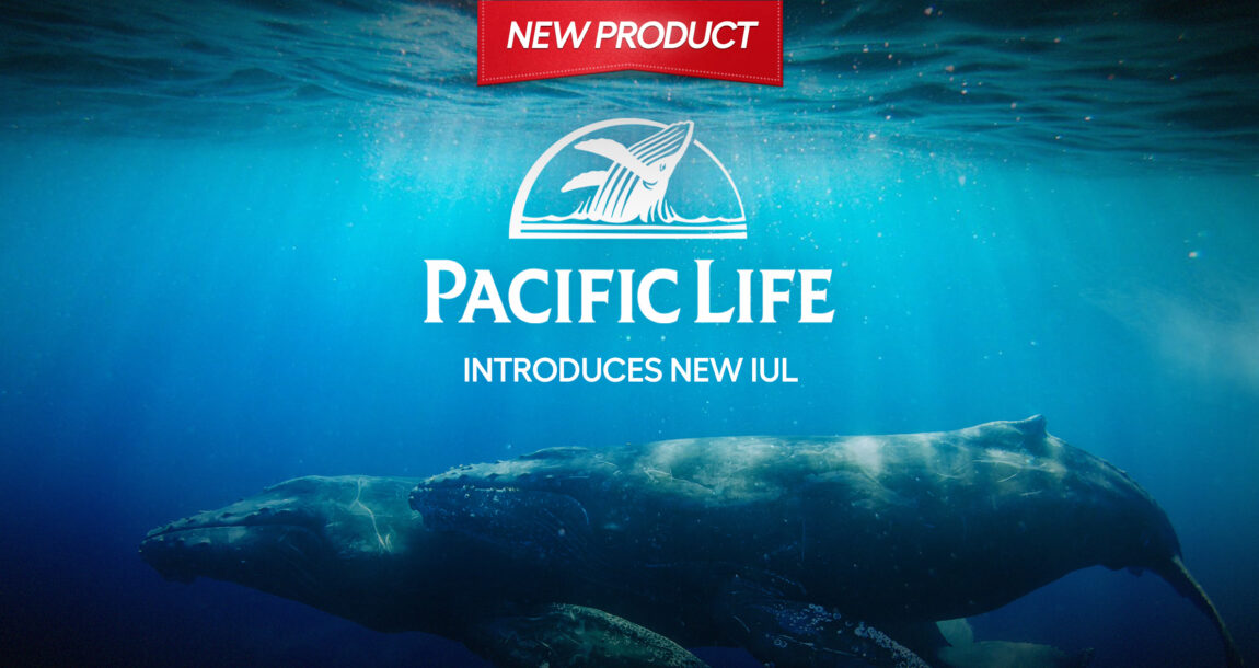 Image shows the PacLife logo