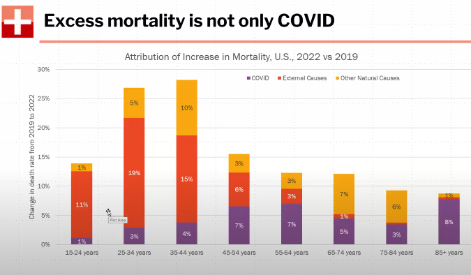 Excess Mortality is not only COVID chart. 