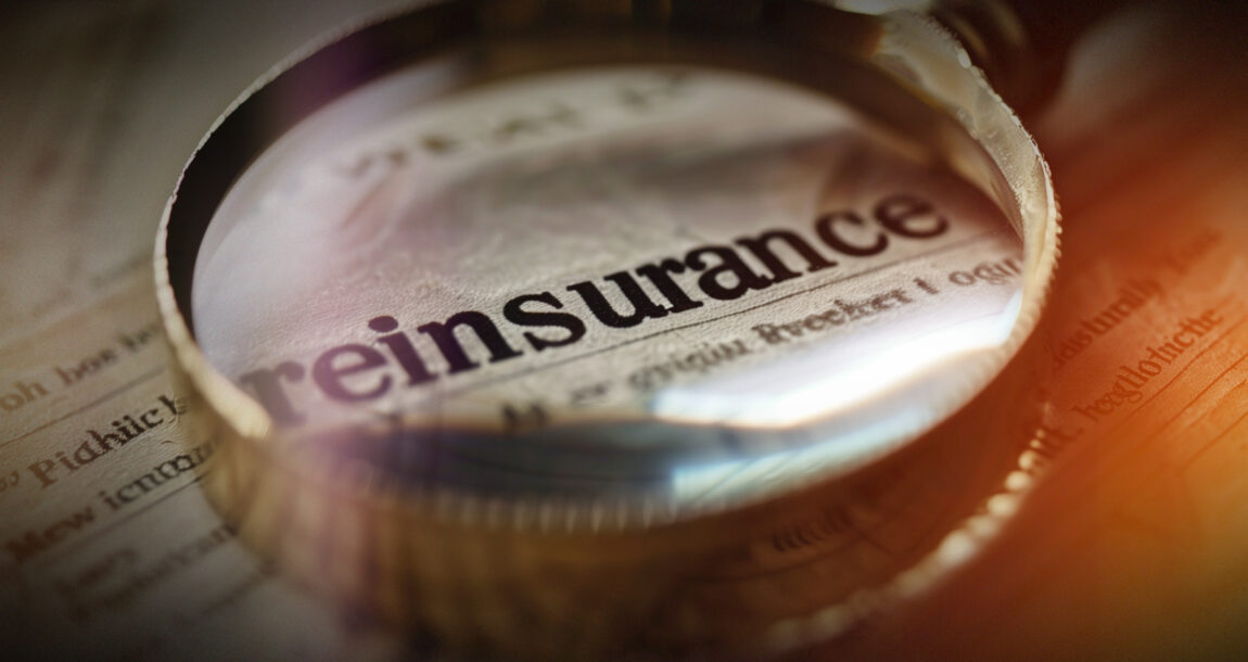 Image shows the word "reinsurance" inside a magnifying glass.