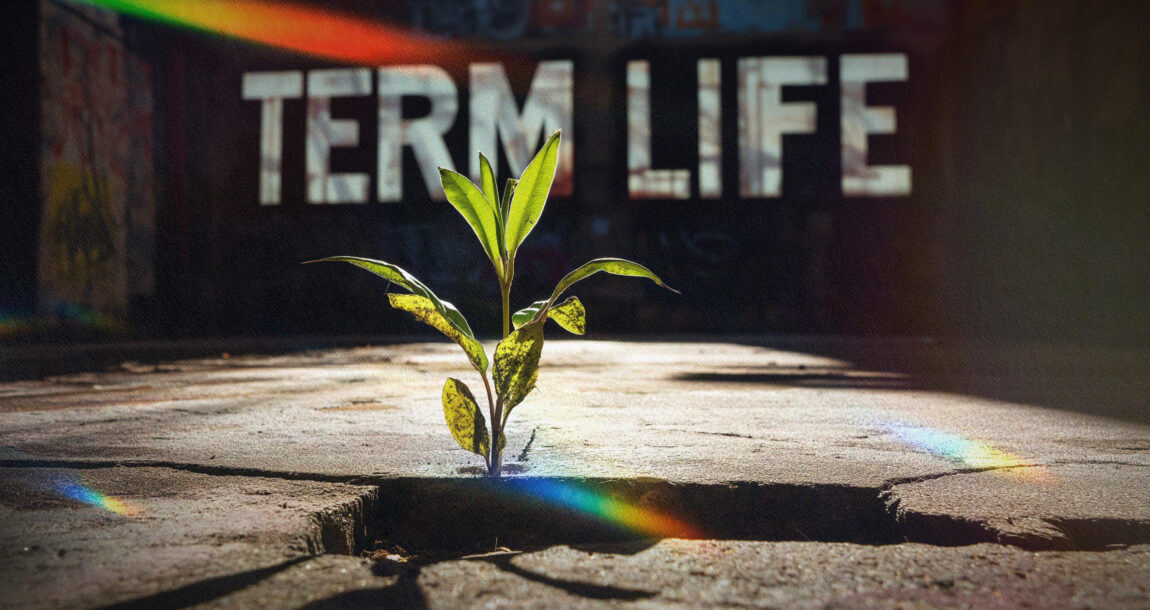 Image shows a plant sprouting and the words, "Term Life."