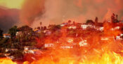 Image of the LA wildfires. From-wildfire-to-conflagration--What-sets-the-LA-blazes-apart.