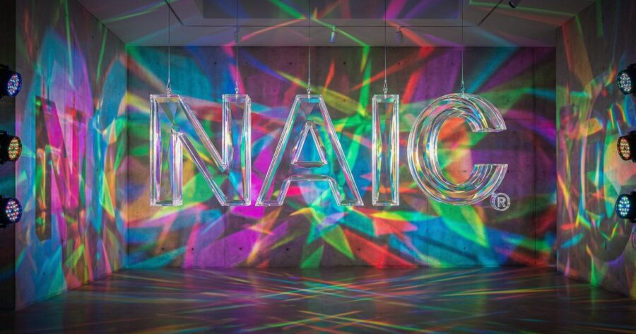 Image shows the NAIC logo
